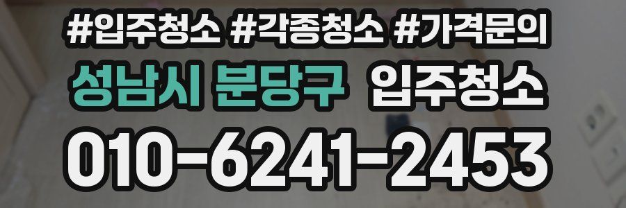 성남시 분당구 이사청소