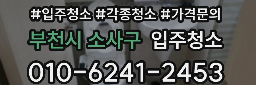 부천시 소사구 이사청소