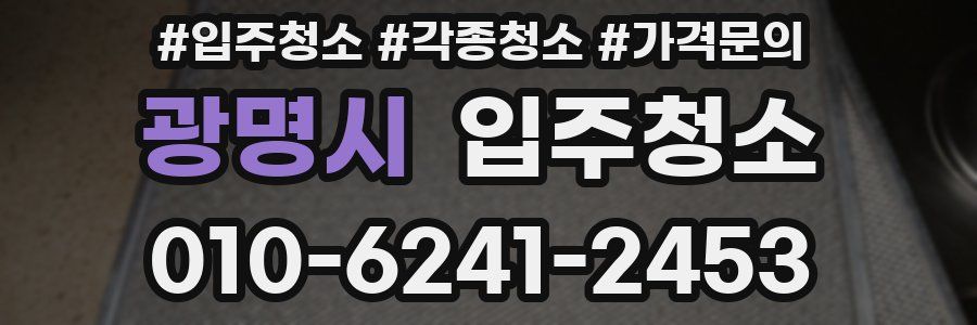 광명시 이사청소