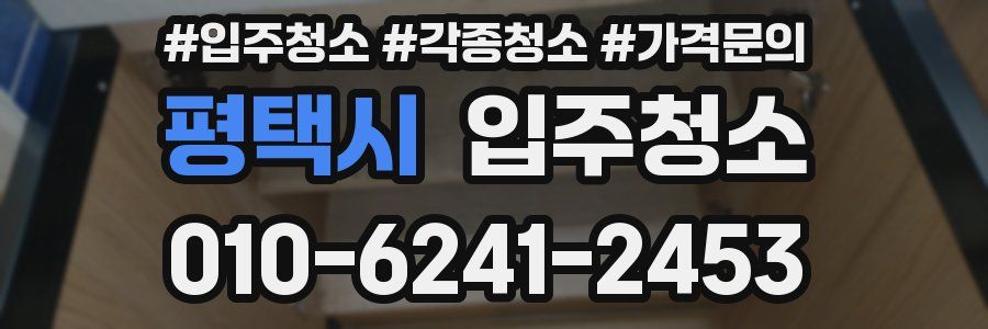 평택시 이사청소