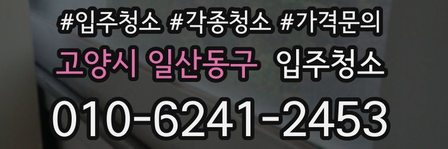 고양시 일산동구 이사청소