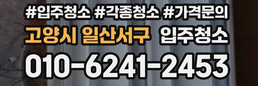 고양시 일산서구 이사청소
