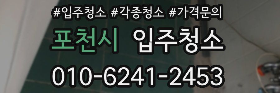 포천시 이사청소