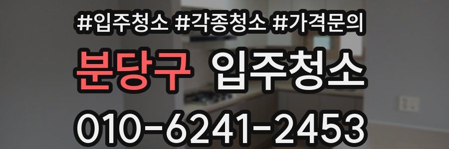 분당구 이사청소