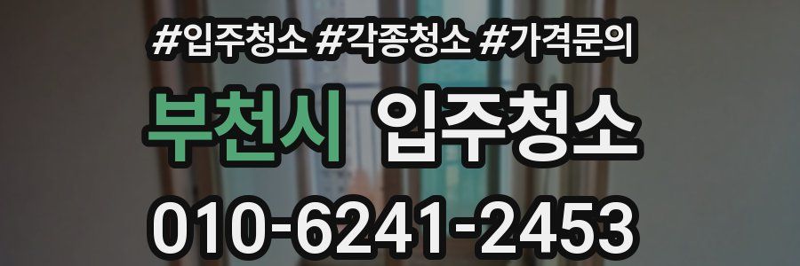 부천시 이사청소