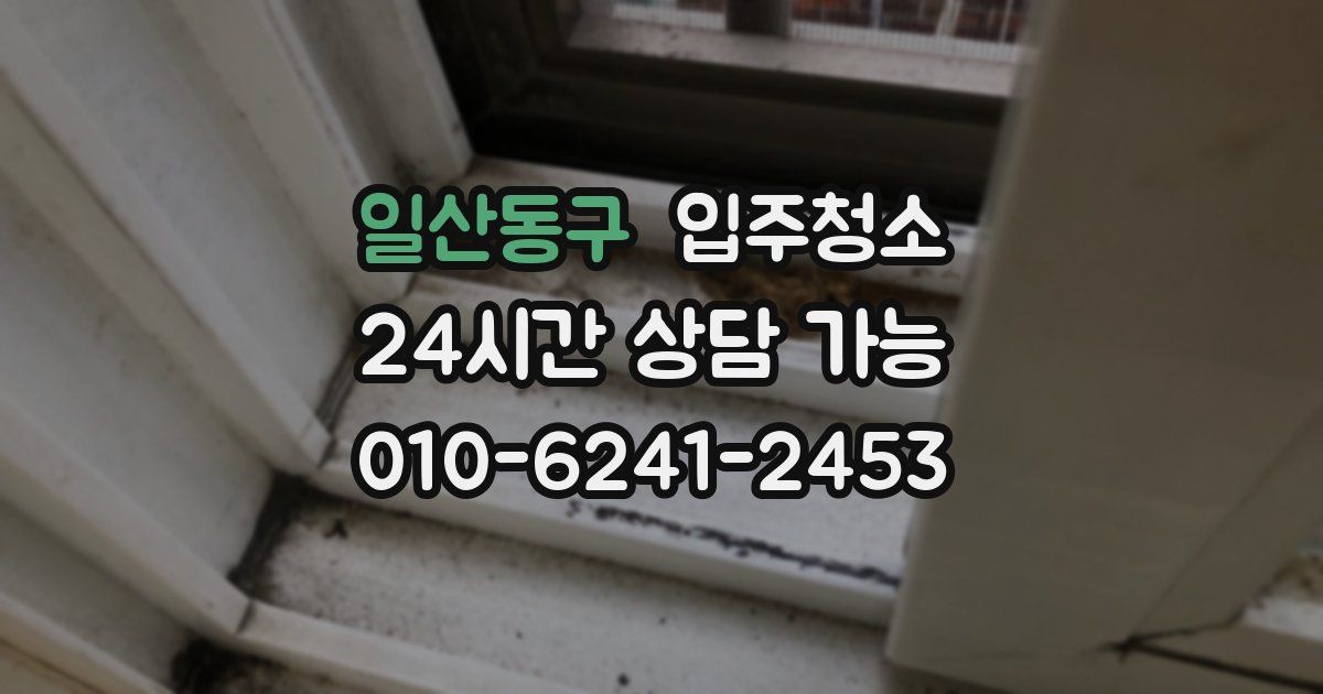 일산동구 입주청소