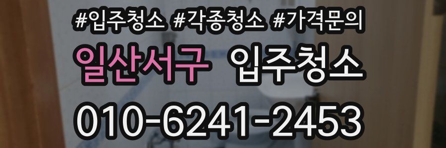 일산서구 이사청소