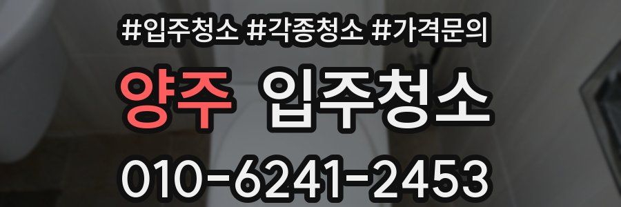 양주 이사청소