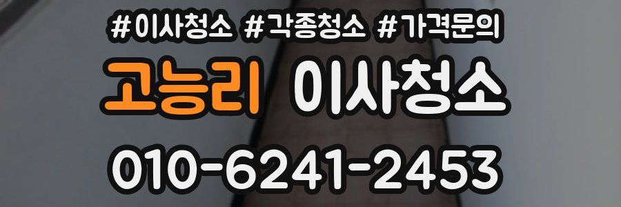 고능리 이사청소