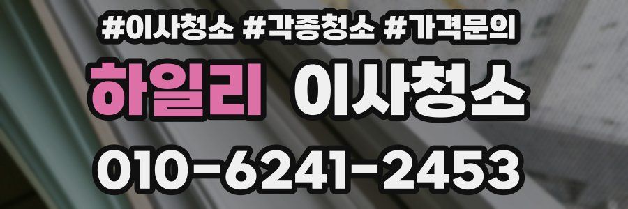 하일리 이사청소