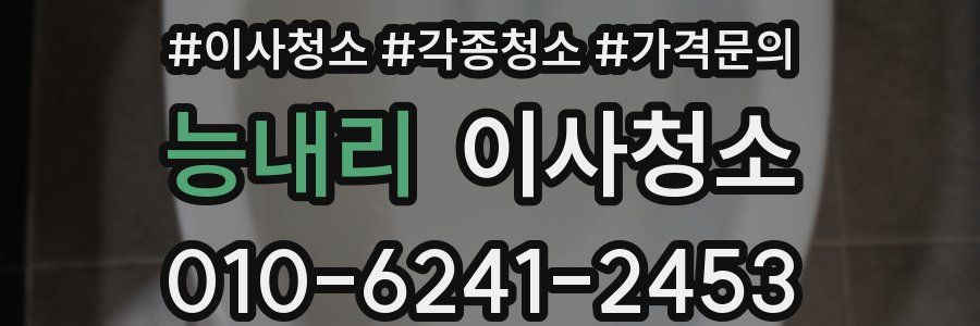 능내리 이사청소