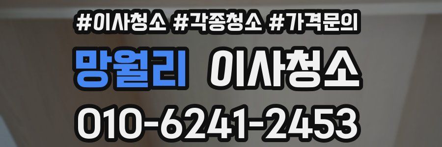 망월리 이사청소