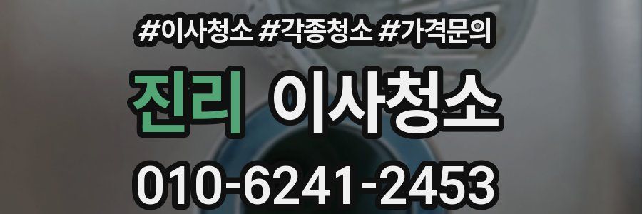 진리 이사청소