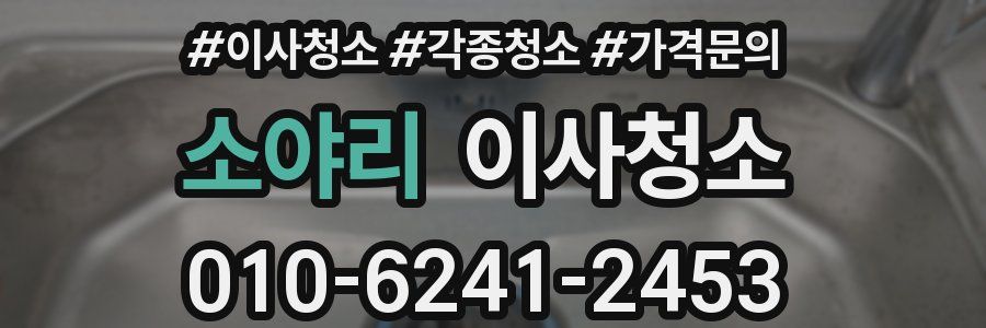 소야리 이사청소