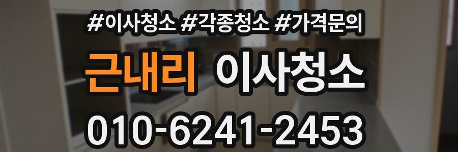 근내리 이사청소