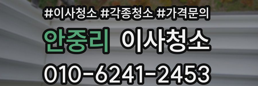 안중리 이사청소