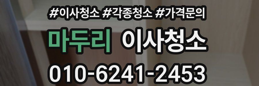 마두리 이사청소