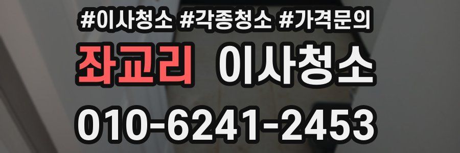 좌교리 이사청소