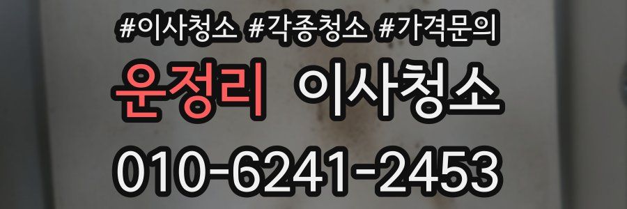 운정리 이사청소