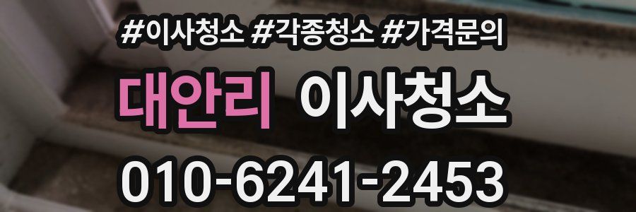 대안리 이사청소