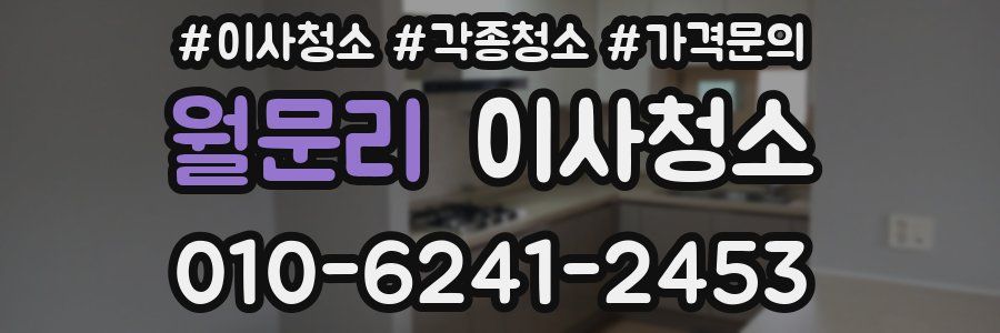 월문리 이사청소