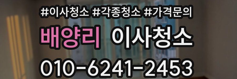 배양리 이사청소