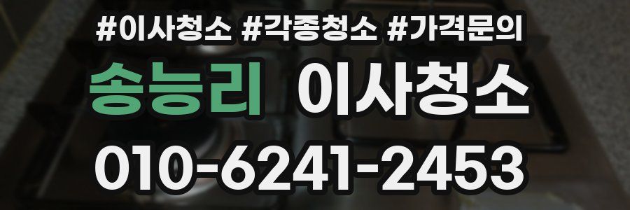 송능리 이사청소