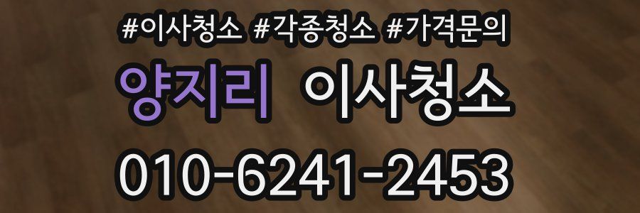 양지리 이사청소