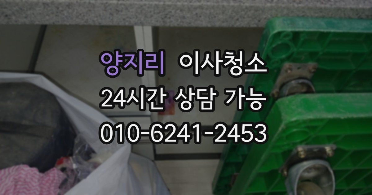 양지리 입주청소