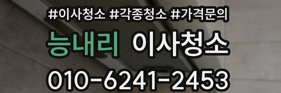 능내리 이사청소