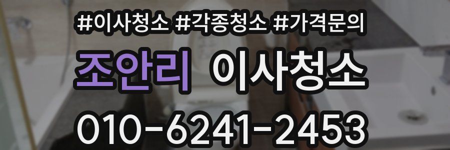 조안리 이사청소