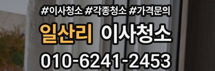 일산리 이사청소