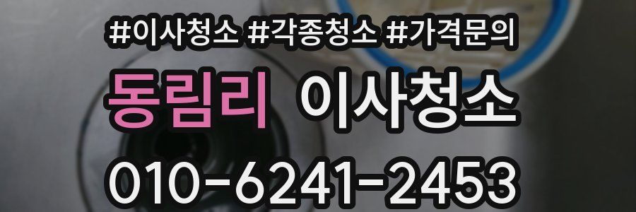 동림리 이사청소