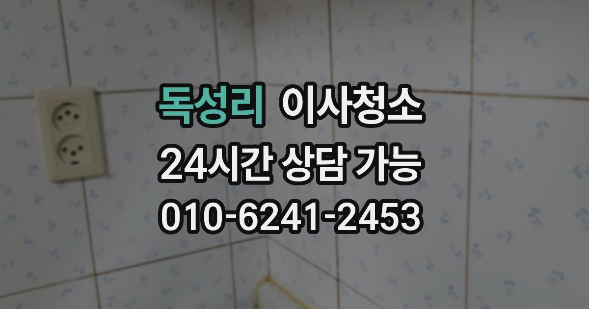 독성리 입주청소