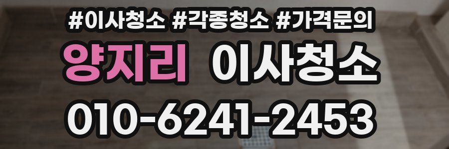 양지리 이사청소