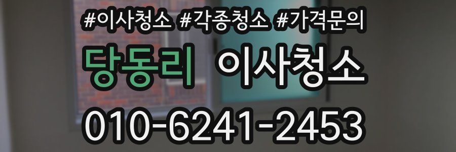 당동리 이사청소