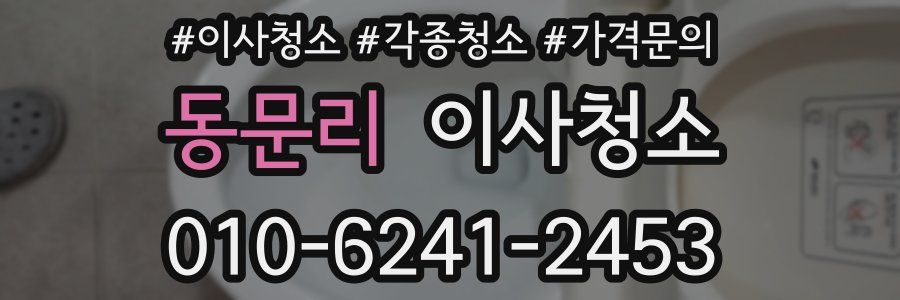 동문리 이사청소