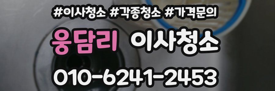 웅담리 이사청소