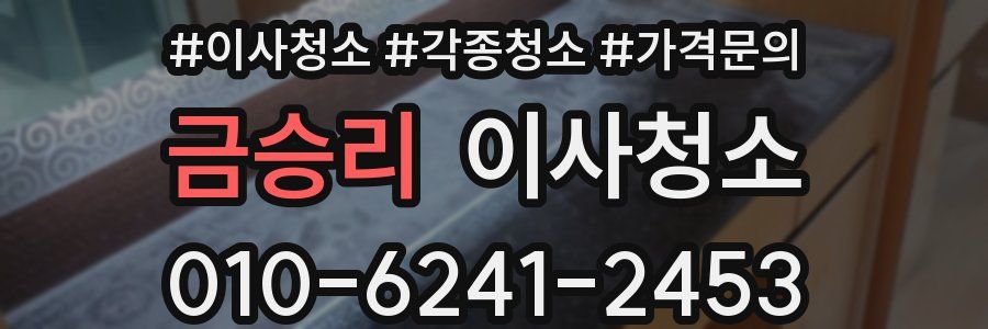 금승리 이사청소