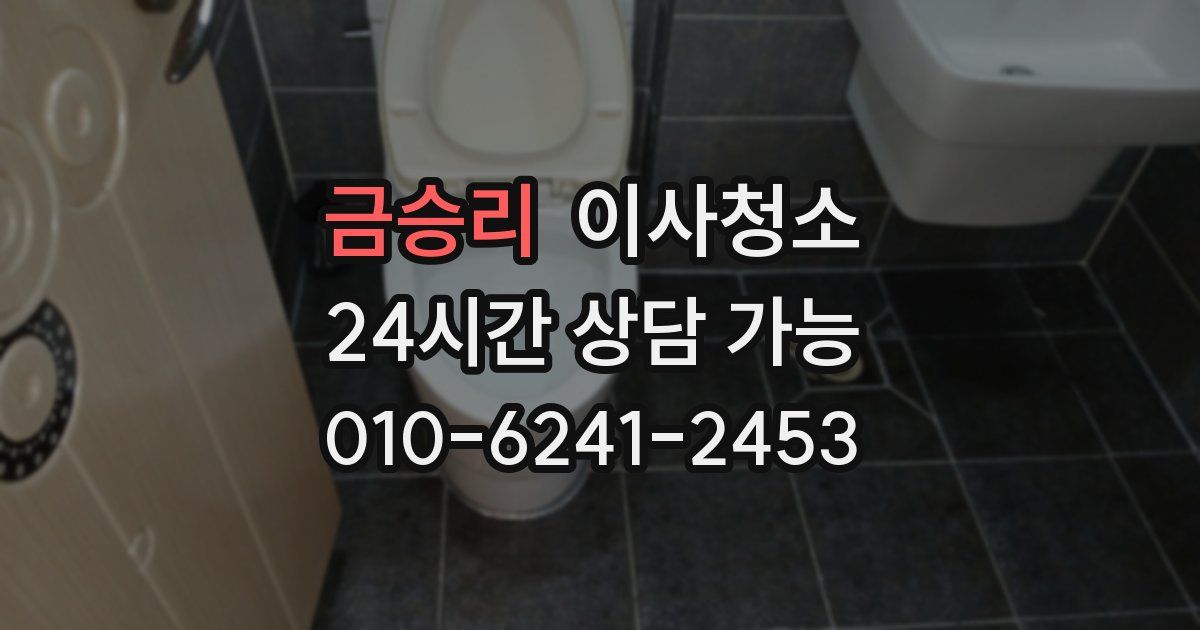 금승리 입주청소