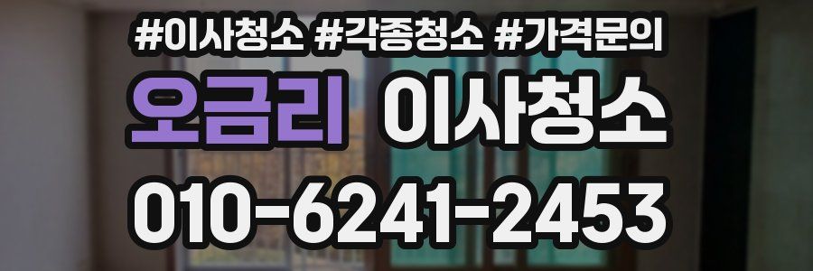 오금리 이사청소