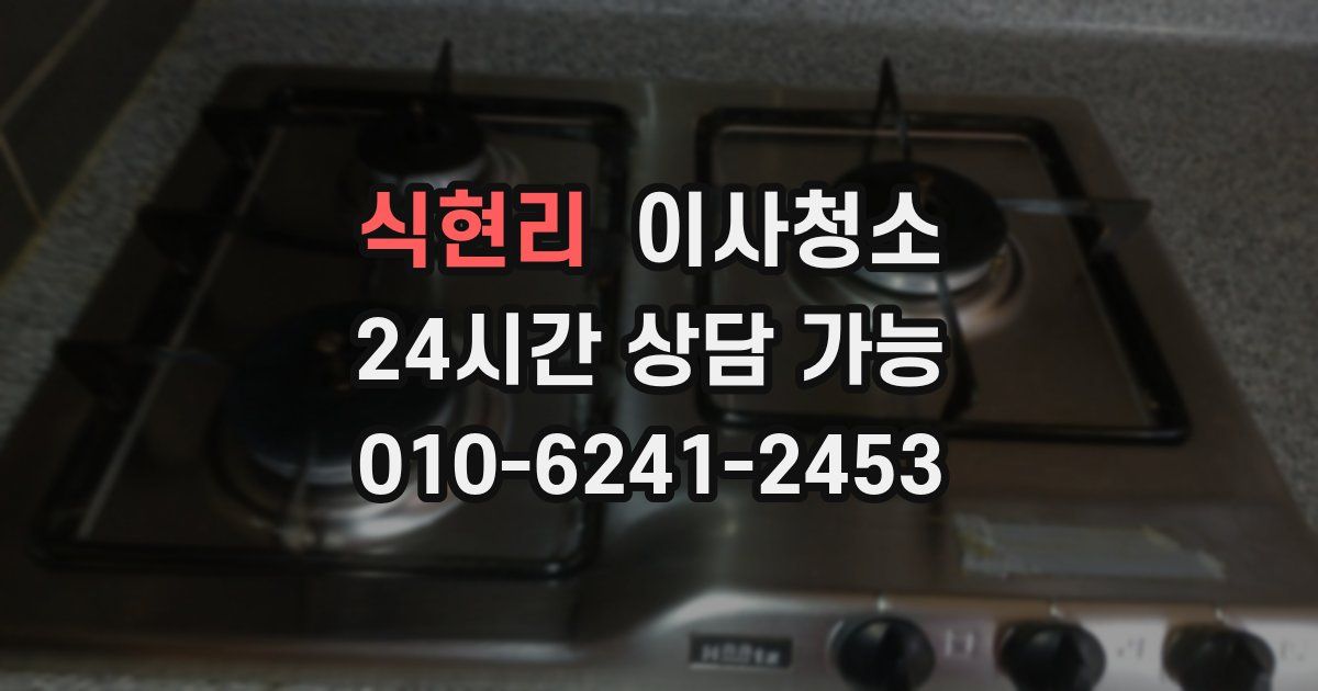 식현리 입주청소