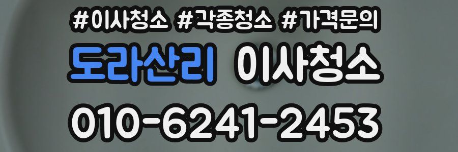 도라산리 이사청소