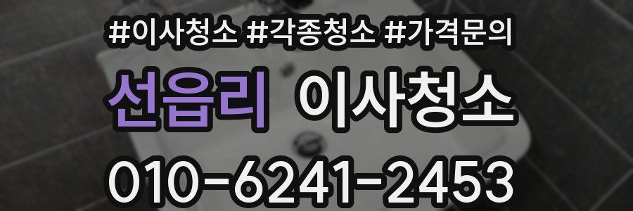 선읍리 이사청소