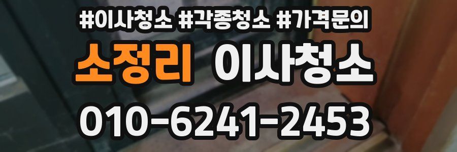 소정리 이사청소