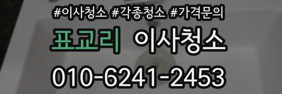 표교리 이사청소