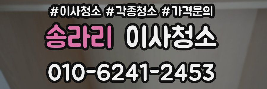 송라리 이사청소