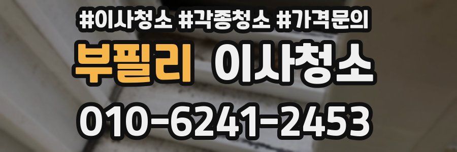 부필리 이사청소