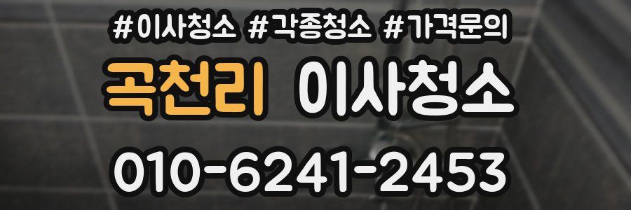 곡천리 이사청소