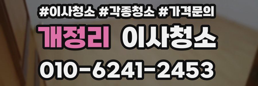 개정리 이사청소